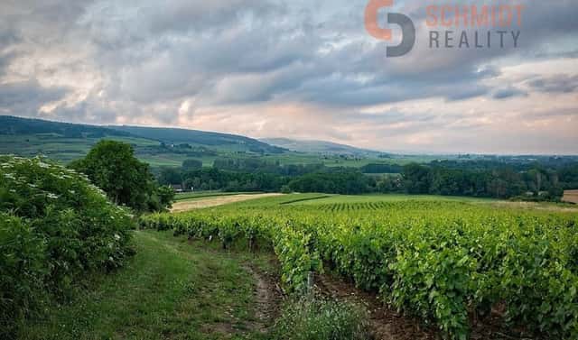 Prodej pozemku 4 733 m², Klentnice, okres Břeclav