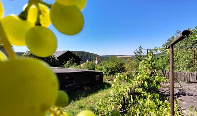 Prodej stavebního pozemku 923 m², Křivoklát, okres Rakovník