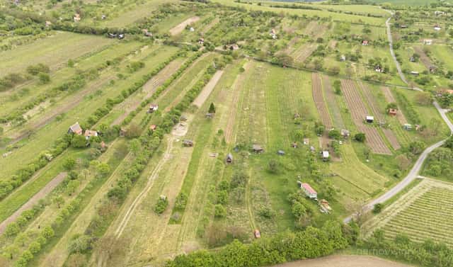 Prodej pozemku 3 526 m², Radějov – Bdeněves, okres Hodonín