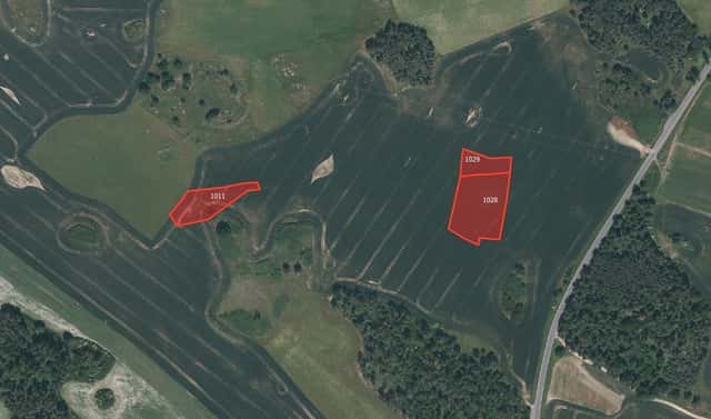 Prodej pole 41 758 m², Velký Bor, okres Klatovy
