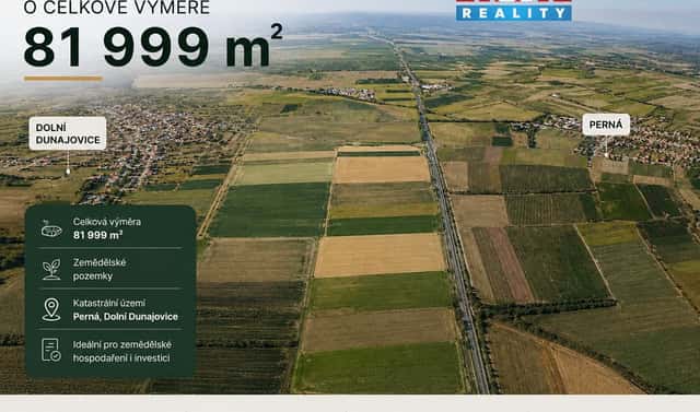 Prodej pole 81 999 m², Perná, okres Břeclav