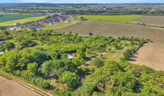 Prodej zahrady 8 945 m², Olešnice – Levín, okres Hradec Králové