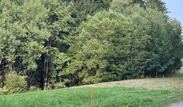Prodej pozemku 600 m², Hutisko-Solanec, okres Vsetín