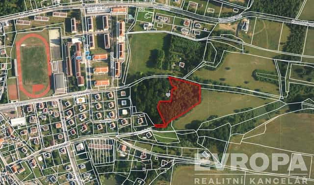 Prodej lesa 8 140 m², Zákupy, okres Česká Lípa