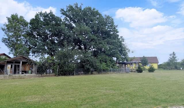 Prodej stavebního pozemku 800 m², Chotýčany, okres České Budějovice