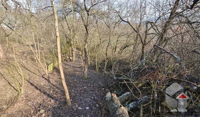 Prodej zahrady 207 m², Turistická, Brno – Medlánky, okres Brno-město