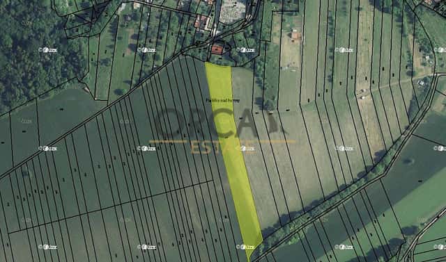 Prodej pole 6 238 m², Diváky, okres Břeclav