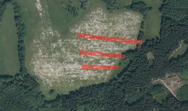 Prodej pole 11 167 m², Plánice – Lovčice, okres Klatovy