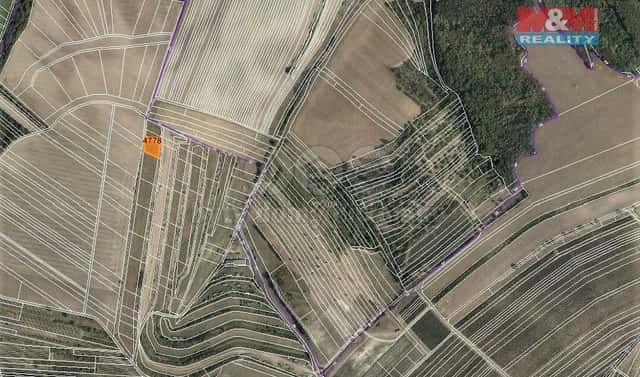 Prodej louky 1 239 m², Starovičky, okres Břeclav