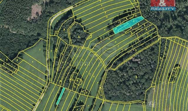 Prodej lesa 420 m², Vysoká, okres Svitavy