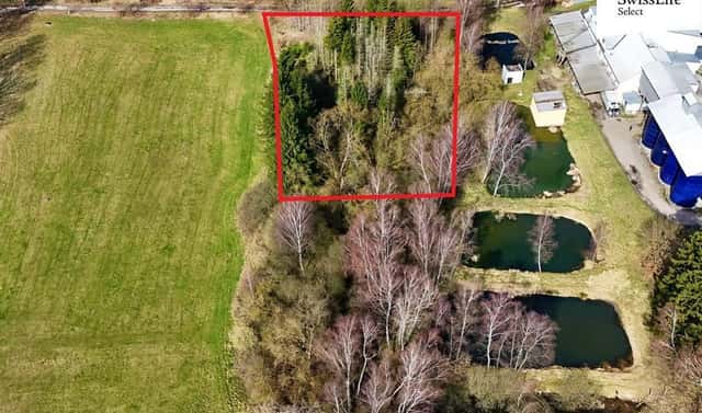 Prodej lesa 4 442 m², Rodvínov, okres Jindřichův Hradec