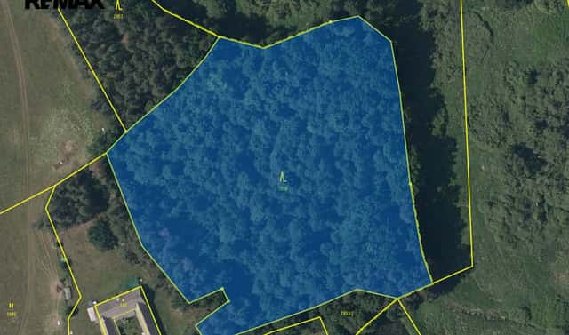 Prodej lesa 63 558 m², Dvory nad Lužnicí, okres Jindřichův Hradec