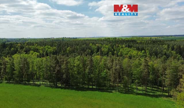 Prodej lesa 79 857 m², Černýšovice, okres Tábor