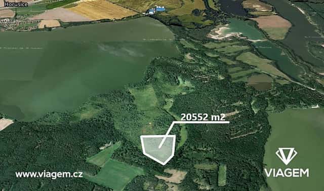 Prodej lesa 20 552 m², Veselí nad Lužnicí, okres Tábor