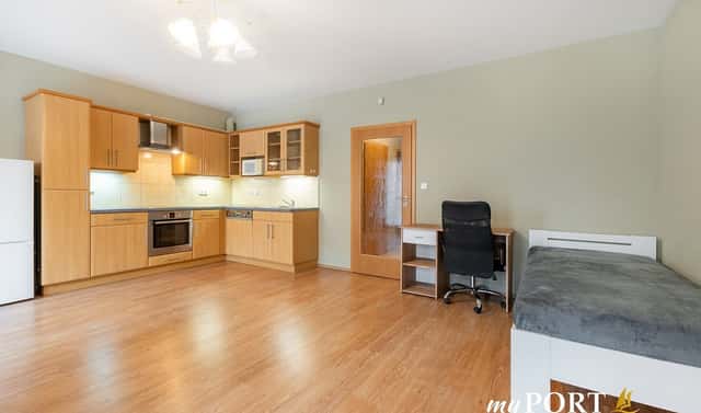 Pronájem bytu 1+kk 40 m², Majerova, Plzeň – Jižní Předměstí, okres Plzeň-město