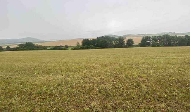 Prodej pole 22 978 m², Rabí – Bojanovice, okres Klatovy