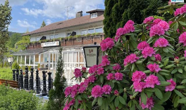 Prodej ubytovacího objektu 2 500 m², Železná Ruda – Alžbětín, okres Klatovy