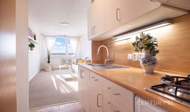 Prodej bytu 2+kk 44 m², Štichova, Praha