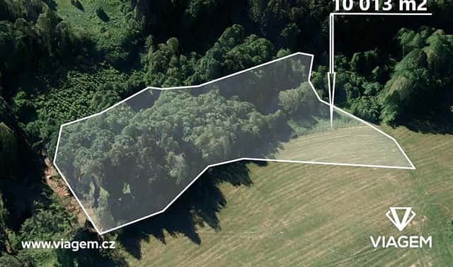 Prodej lesa 2 503 m², Kaliště, okres Pelhřimov
