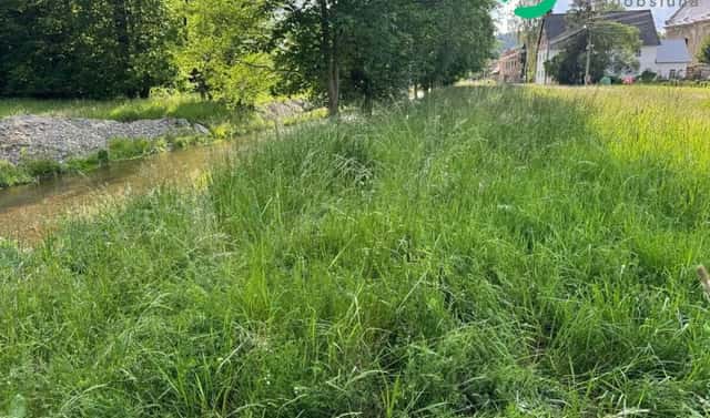 Prodej zahrady 777 m², Město Albrechtice, okres Bruntál