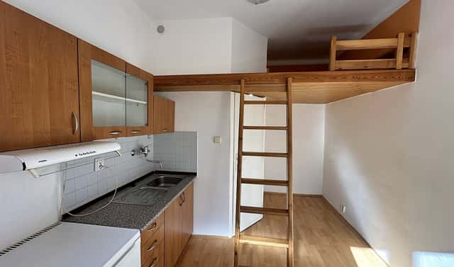 Pronájem bytu 1+kk 13 m², Bělohorská, Praha 6 – Břevnov