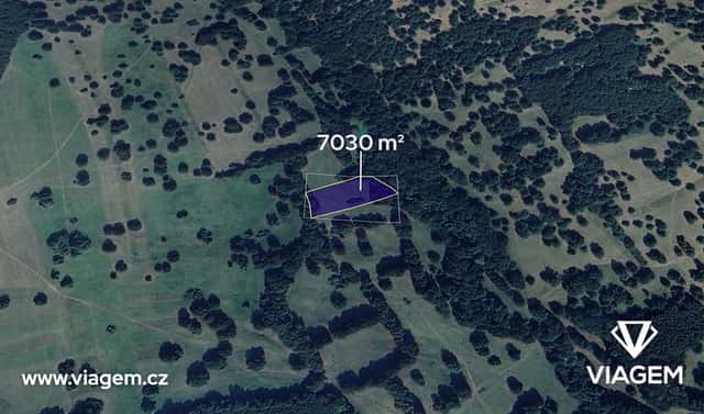 Prodej pole 7 030 m², Tvarožná Lhota, okres Hodonín