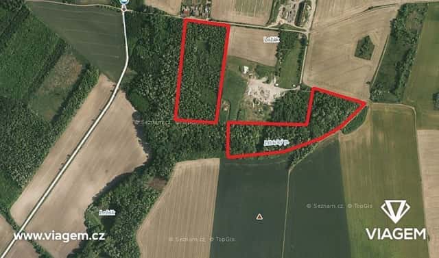 Prodej lesa 7 364 m², Břežany, okres Znojmo