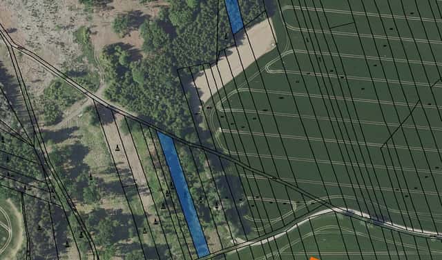 Prodej lesa 5 707 m², Mnichovice, okres Benešov