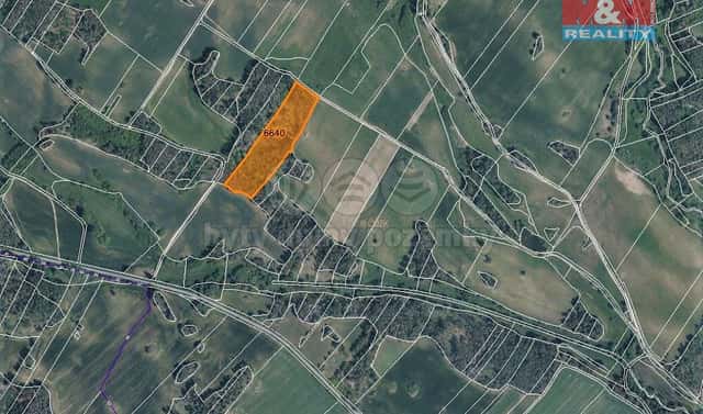 Prodej lesa 3 304 m², Trnava, okres Třebíč
