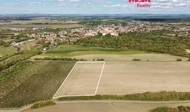 Prodej pole 9 598 m², Valtice, okres Břeclav