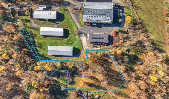 Prodej komerčního pozemku 8 046 m², Cvikov, okres Česká Lípa