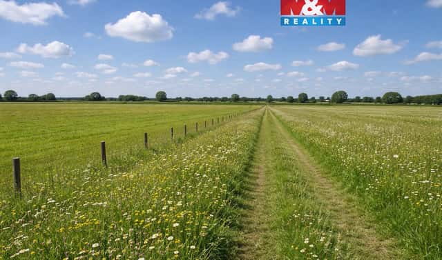 Prodej louky 16 129 m², Třemošná, okres Plzeň-sever