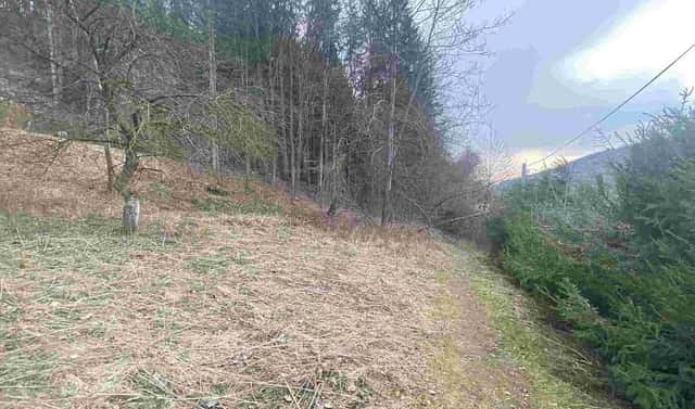 Prodej zahrady 903 m², Dolní Dobrouč, okres Ústí nad Orlicí