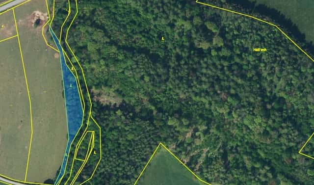 Prodej lesa 3 247 m², Skorošice, okres Jeseník