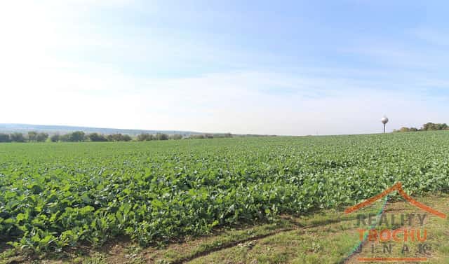 Prodej stavebního pozemku 2 109 m², Chotětov, okres Mladá Boleslav
