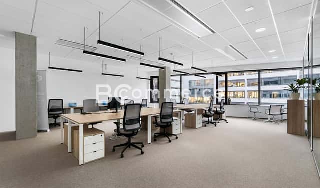 Pronájem kanceláře 235 m², Brno – Staré Brno, okres Brno-město