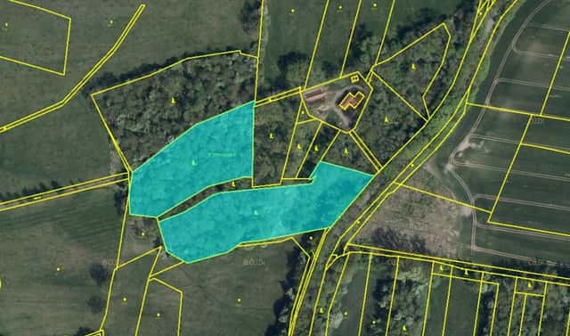 Prodej lesa 19 276 m², Rychnovek – Dobříč, okres Náchod