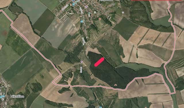 Prodej lesa 4 819 m², Divácká, Šitbořice, okres Břeclav