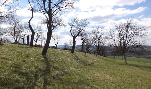 Prodej pozemku 984 m², Hluk, okres Uherské Hradiště