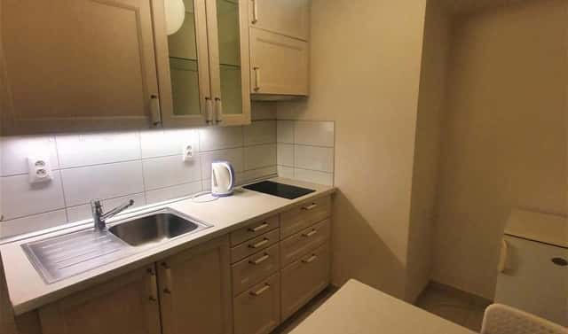 Pronájem bytu 1+1 33 m², Smetanova, Brno – Veveří, okres Brno-město