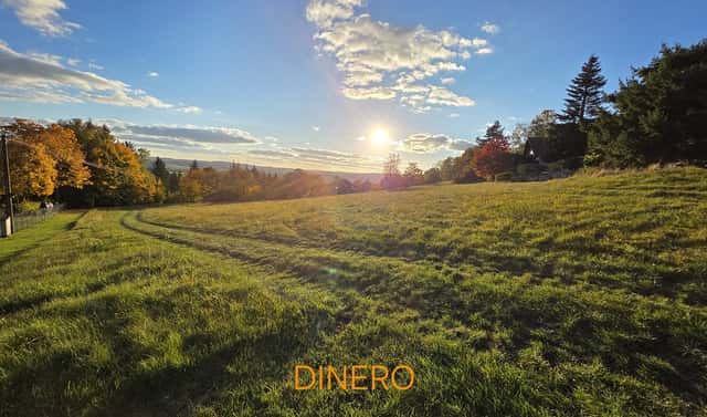 Prodej stavebního pozemku 1 634 m², Lipnice nad Sázavou, okres Havlíčkův Brod