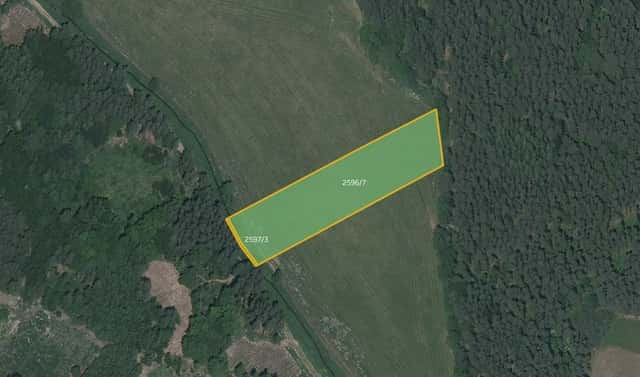 Prodej pole 22 168 m², Horažďovice – Komušín, okres Klatovy