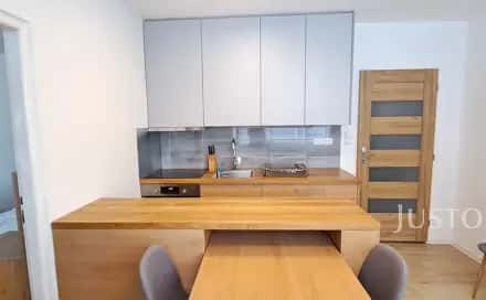 Pronájem bytu 1+1 41 m², 17. listopadu, Písek – Budějovické Předměstí