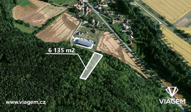 Prodej lesa 6 135 m², Štěpánovice, okres Brno-venkov