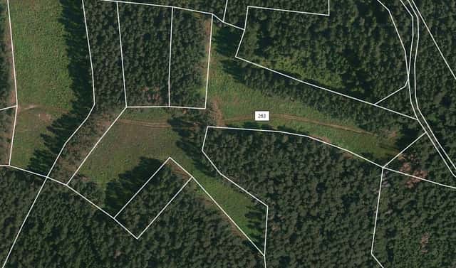 Prodej lesa 22 084 m², Přechovice, okres Strakonice