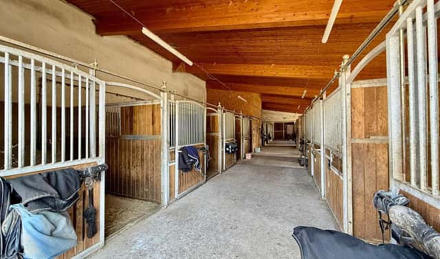 Prodej zemědělského objektu 1 300 m², Spálené Poříčí, okres Plzeň-jih