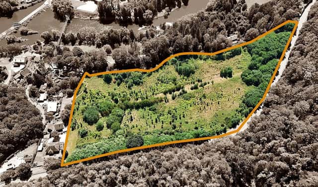 Prodej stavebního pozemku 34 100 m², Sázava, okres Benešov