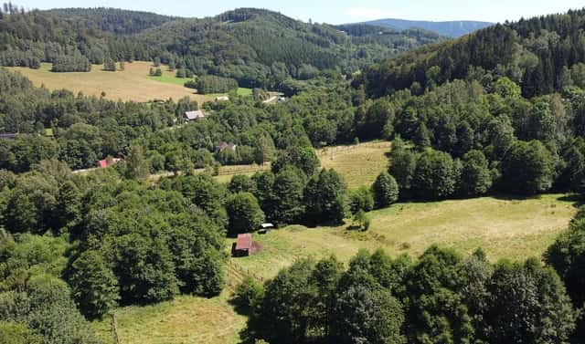 Prodej stavebního pozemku 3 118 m², Olešnice v Orlických horách, okres Rychnov nad Kněžnou