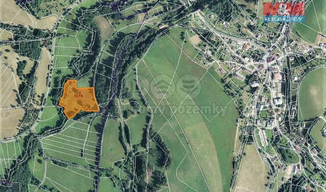 Prodej louky 15 642 m², Bernartice, okres Trutnov
