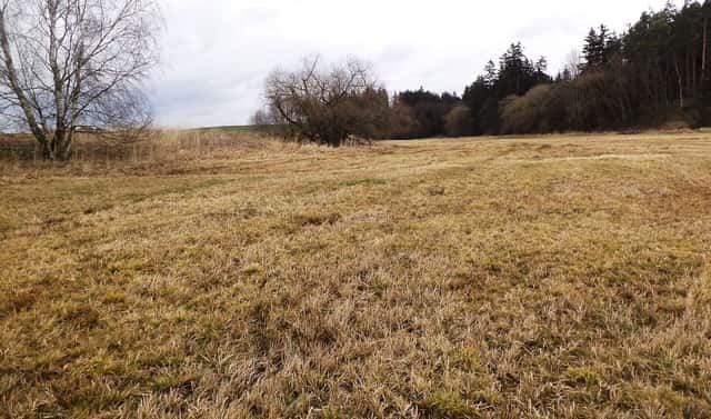 Prodej pozemku 19 262 m², Peč – Urbaneč, okres Jindřichův Hradec